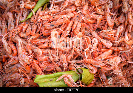 Piccoli gamberi fritti croccanti con il condimento bergamotto leaf - gamberi di acqua dolce cotto in street market alimentare Foto Stock