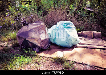 Scarico illegale in natura; sacchi della spazzatura a sinistra nella natura - immagine dai toni Foto Stock