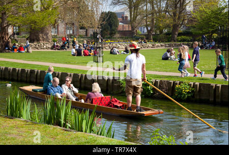 Punt gita turistica, Canterbury, England, Regno Unito Foto Stock