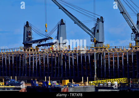 Un oceano navi essendo caricato con i registri di greggio per il trasporto su Vancouver Island British Columbia Canada. Foto Stock