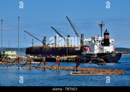 Un oceano navi essendo caricato con i registri di greggio per il trasporto su Vancouver Island British Columbia Canada. Foto Stock