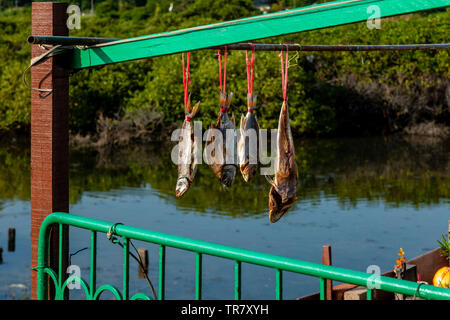 Pesce di essiccazione al sole al di fuori di una casa, Tai O Villaggio di Pescatori, Hong Kong, Cina Foto Stock