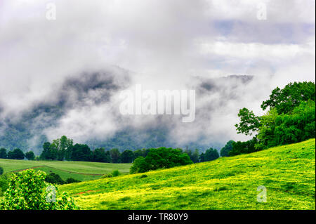 Vista panoramica di prati aperti gli alberi, la gamma della montagna e nuvole basse in questo paese rurale lato in Virginia Foto Stock