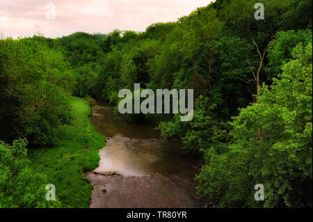 Calma per via navigabile viaggia attraverso heavly rive boscose nel Tennessee rurale Foto Stock