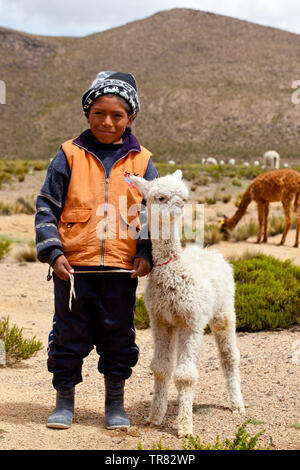 Un ragazzo e la sua alpaca sulle montagne di Chivay Foto Stock