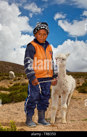 Un ragazzo e la sua alpaca sulle montagne di Chivay Foto Stock