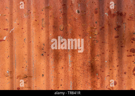 Rusty tin roof che ha visto giorni migliori. Foto Stock