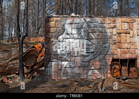 Graffiti artist Shane vernici Grammer ritratti tra le ceneri dal paradiso CA Camp Fire Foto Stock