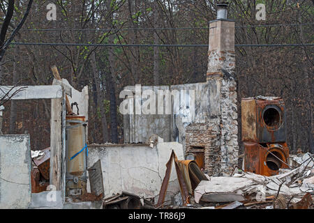 Graffiti artist Shane vernici Grammer ritratti tra le ceneri dal paradiso CA Camp Fire Foto Stock