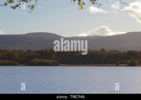 Cumulus nubi in un cielo blu sopra Silver Birch pendii boscosi al di là di Loch Kinord su una sera d'autunno. Muir of Dinnet NNR, Scotland, Regno Unito. Foto Stock