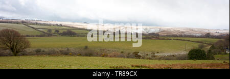 Tarda primavera nevicata sulla Exmoor, Devon, Inghilterra, Regno Unito. Foto Stock