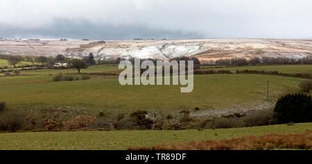 Tarda primavera nevicata sulla Exmoor, Devon, Inghilterra, Regno Unito. Foto Stock