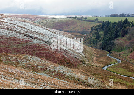 Tarda primavera nevicata sulla Exmoor, vicino Simonsbath, Devon, Inghilterra, Regno Unito. Foto Stock