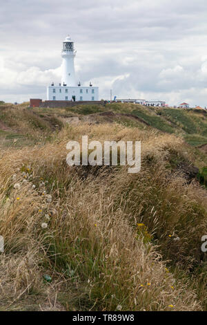 Faro Flamborough ed erbe, Flamborough Head, East Riding of Yorkshire, Inghilterra, Regno Unito Foto Stock