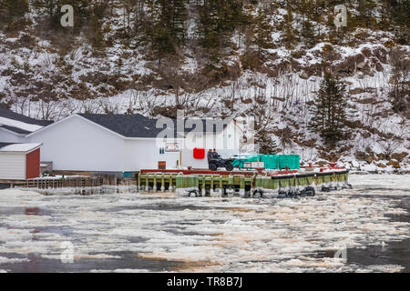 Traghetto Marine Voyager dock si avvicina all'outport del fiume grigio, Terranova, Canada [nessuna proprietà o uscite del modello; disponibile per editoriale licen Foto Stock