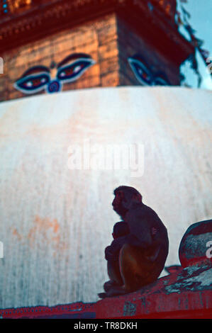 Swayambhunath o Monkey Temple,Kathmandu, Nepal Foto Stock