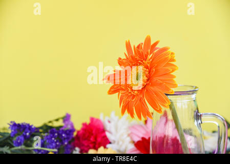 Orange gerbera daisy fiore nel vasetto di vetro su fiori colorati primavera estate splendida fioritura su sfondo giallo Foto Stock