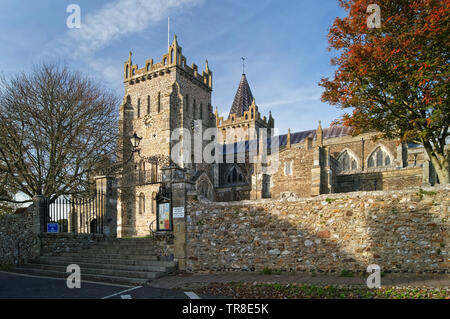 UK,Devon,Ottery St Mary,St Mary's Church Foto Stock