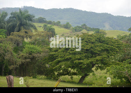 Campi e boscose pendici in guisa comune (provincia Granma, Cuba), nelle vicinanze del Pico de la Bayamesa national park, sud Cuba Foto Stock