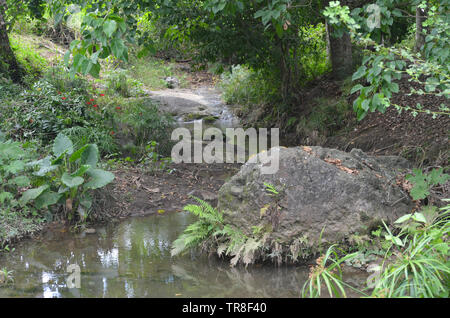 Campi e boscose pendici in guisa comune (provincia Granma, Cuba), nelle vicinanze del Pico de la Bayamesa national park, sud Cuba Foto Stock