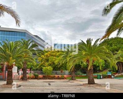 Francia, Alpes Maritimes, Nizza, Porte de l'Arenas, International Business Center, architettura contemporanea. Foto Stock