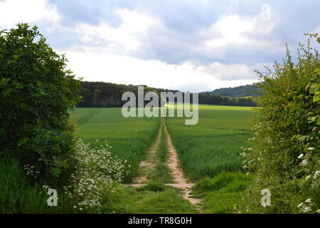 Campagna di Kent vicino Ightham Mote, Tonbridge e Shipbourne verso la fine di maggio su un parzialmente giornata di sole. Boschi e terreni agricoli visibile Foto Stock