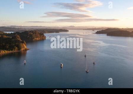 Everning vista delle barche sul mahurangi harbour a nord di Auckland Nuova Zelanda Foto Stock