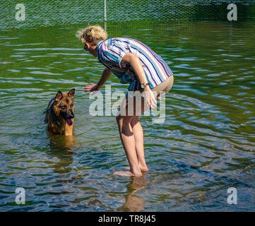 Pastore è in corso di riproduzione con il suo proprietario sul dog beach a Prospect Park, NY Foto Stock