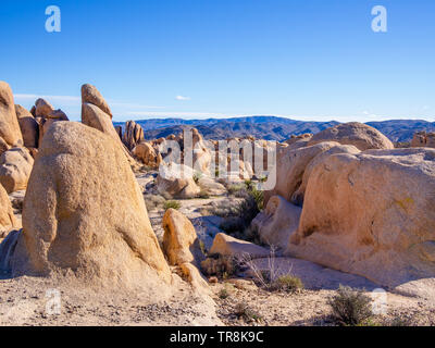 Parco nazionale di Joshua Tree Foto Stock