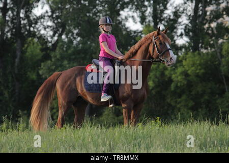 Arabian Horse con kid bambina riding sorridenti sul verde dei boschi Foto Stock