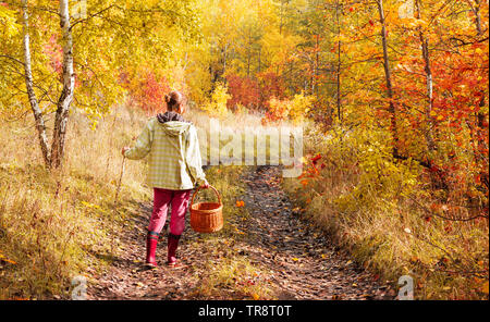 Unica Donna con cesto in vimini per funghi e frutti di bosco a camminare su una strada sterrata nel bosco in autunno giornata di sole Foto Stock