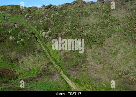 Gradini ripidi verso il basso per Lydstep Caverns Pembrokeshire Coast Path Manorbier Galles Cymru REGNO UNITO Foto Stock