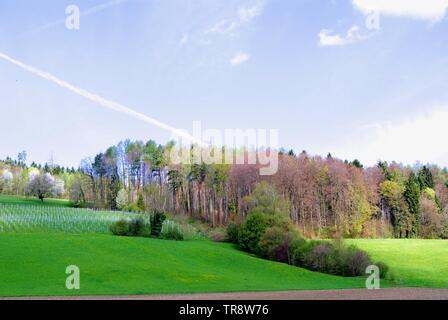 Paesaggio shot acquisiti su un viaggio in giro per l'Europa. Bellissime colline verdi e alberi con cielo blu Foto Stock