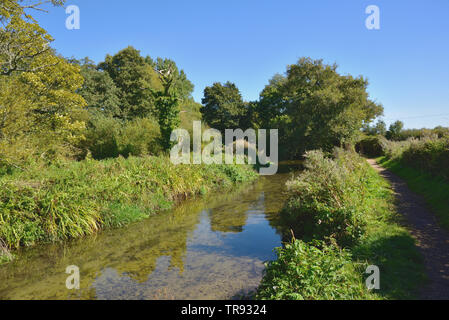 Fiume Frome vicino Bockhampton inferiore, Dorset Foto Stock