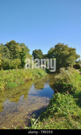 Fiume Frome vicino Bockhampton inferiore, Dorset Foto Stock