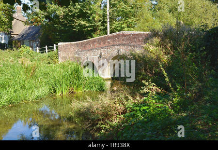 Fiume Frome a Bockhampton inferiore, Dorset Foto Stock