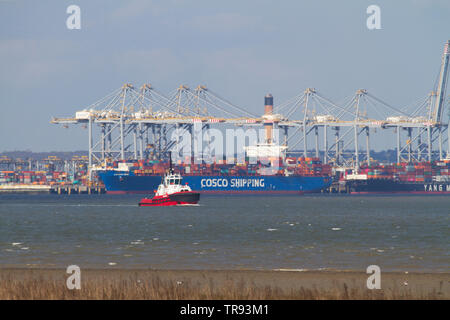 Un rimorchiatore della guarnizione SD vela nell'estuario del Tamigi vicino a Tilbury in Essex con il London Gateway di terminal per container in background. Foto Stock
