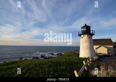 Pigeon Point Lighthouse Foto Stock