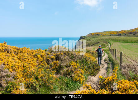 Maschio maturo escursionista sul modo di Cleveland National Trail sentiero costiero nelle vicinanze del Saltburn sulla North Yorkshire costa. England.UK Foto Stock