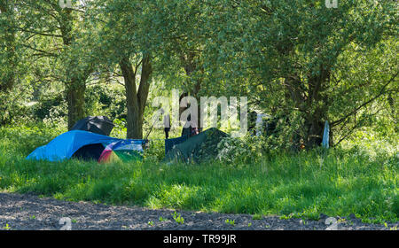 Campeggio selvaggio nel campo Foto Stock