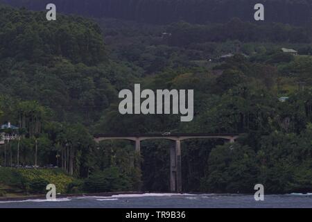 Un ponte in Hilo Hawaii viene eseguito da un'area tropicale lussureggiante con alberi lungo il fronte oceano Foto Stock