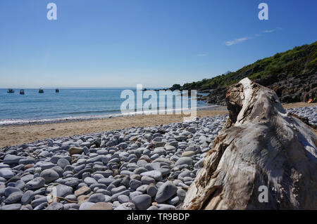 Una lavata fino log su di una spiaggia di ciottoli e sabbia spiaggia. Nell'acqua della baia ci sono un paio di piccole imbarcazioni Foto Stock