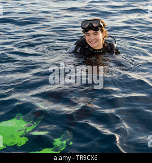 Immersioni in mare, Turneffe Atoll, Belize Barrier Reef, Belize Foto Stock