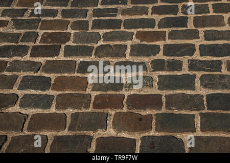 Close-up del marciapiede in pietra al tramonto nel centro città di Gand. Città con una intensa vita culturale e di edifici gotici in Belgio. Foto Stock