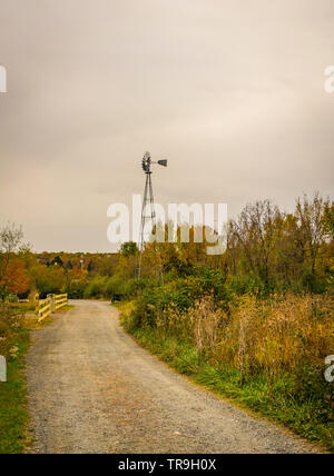 Il mulino a vento la torre e la strada di ghiaia con colori autunnali a Claude Moore Park in sterline, Virginia, Stati Uniti d'America. Foto Stock