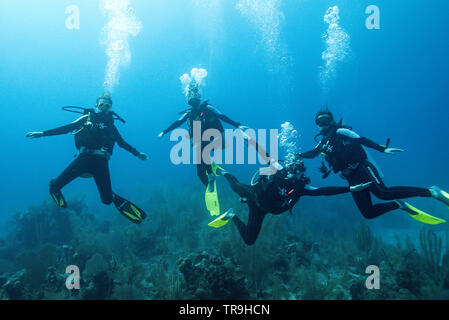 Immersioni subacquee, Belize Foto Stock