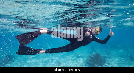 L uomo lo snorkeling, Turneffe Atoll, Belize Barrier Reef, Belize Foto Stock