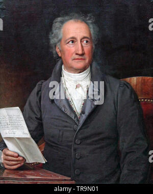 JOHANN von Goethe (Francoforte sul Meno 1749 - Weimar 1832) scrittore tedesco e più Foto Stock