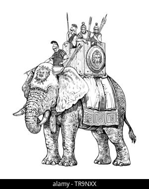 Guerra illustrazione di elefante, esercito di Cartagine. Disegno storico. Foto Stock