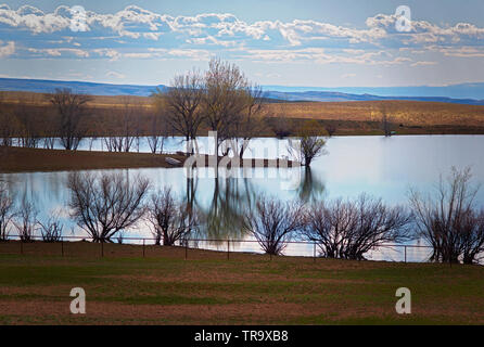 Alberi riflettendo IN COLORADO IL LAGO CON LE MONTAGNE ROCCIOSE DELLA DISTANZA Foto Stock